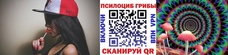 купить   mega зеркало  Галлюциногенные грибы Cubensis  Магас 